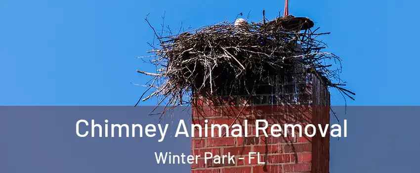  Chimney Animal Removal Winter Park - FL