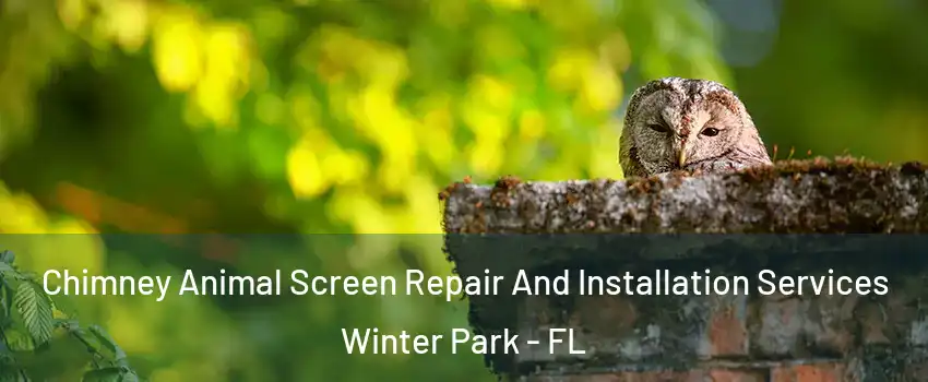 Chimney Animal Screen Repair And Installation Services Winter Park - FL