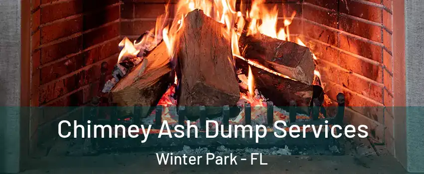  Chimney Ash Dump Services Winter Park - FL