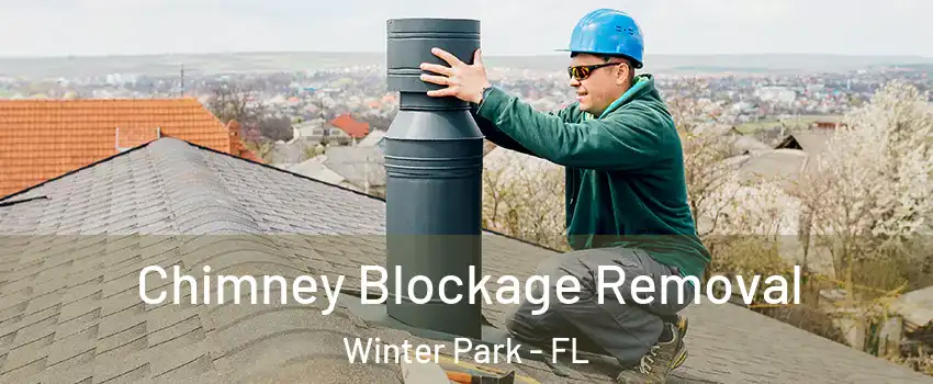  Chimney Blockage Removal Winter Park - FL