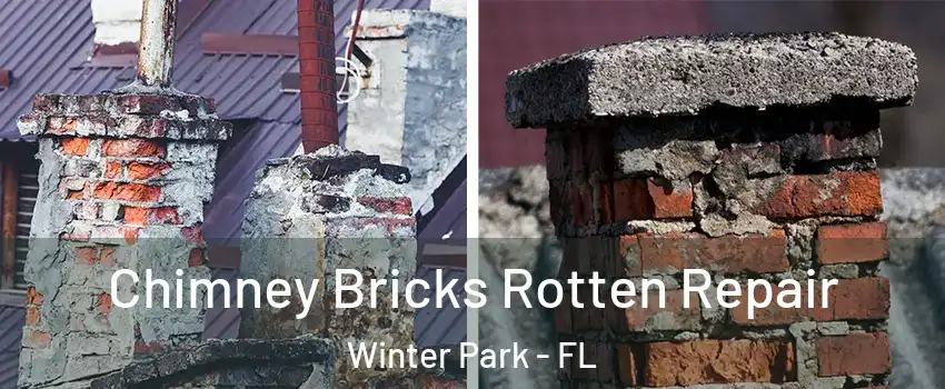  Chimney Bricks Rotten Repair Winter Park - FL