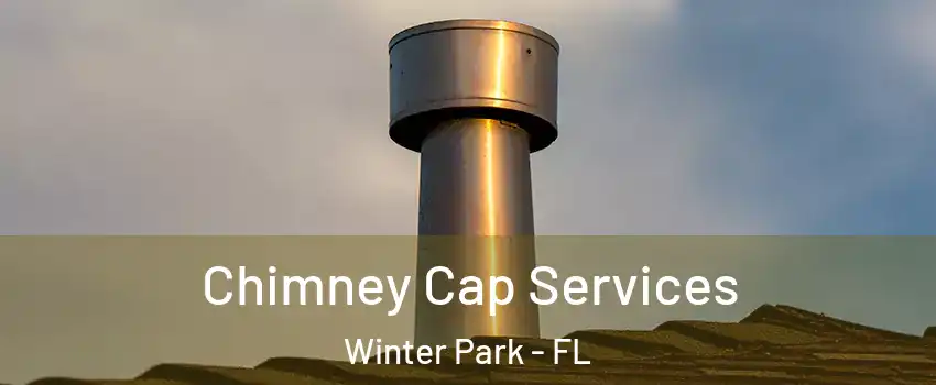  Chimney Cap Services Winter Park - FL