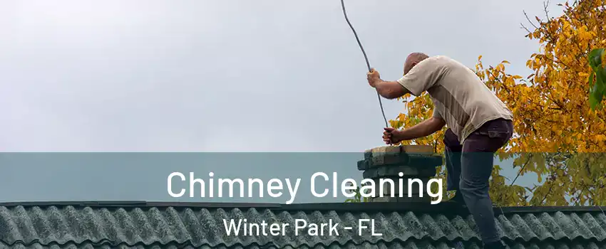  Chimney Cleaning Winter Park - FL