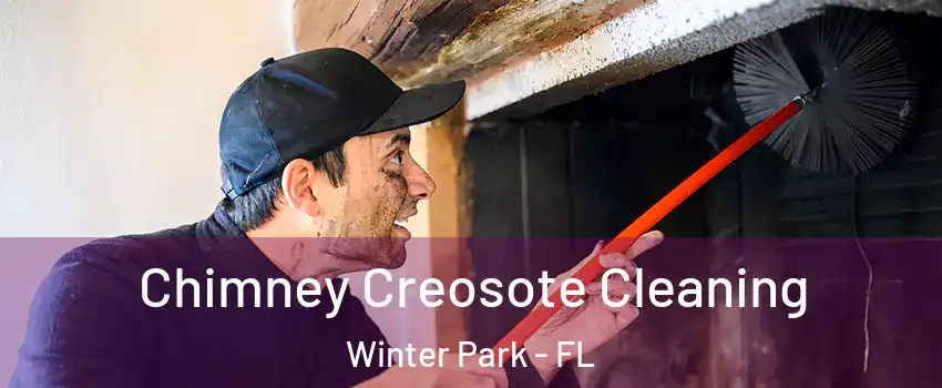  Chimney Creosote Cleaning Winter Park - FL