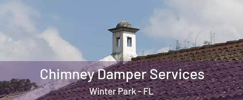  Chimney Damper Services Winter Park - FL