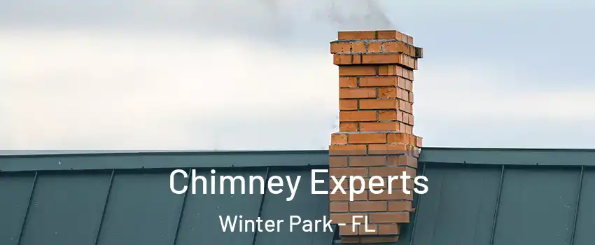  Chimney Experts Winter Park - FL