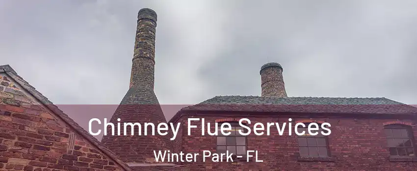  Chimney Flue Services Winter Park - FL