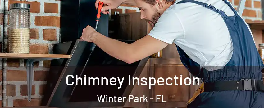  Chimney Inspection Winter Park - FL