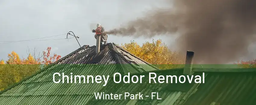  Chimney Odor Removal Winter Park - FL