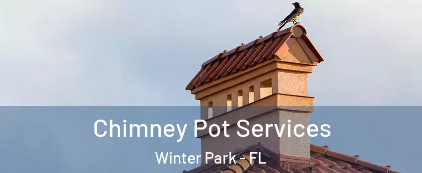  Chimney Pot Services Winter Park - FL