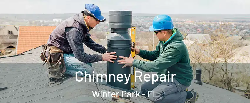  Chimney Repair Winter Park - FL