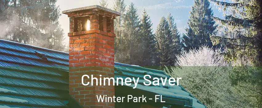  Chimney Saver Winter Park - FL