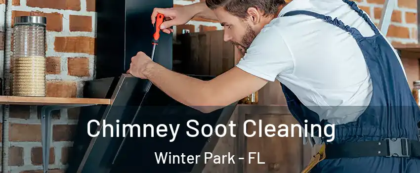  Chimney Soot Cleaning Winter Park - FL