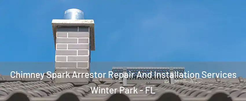  Chimney Spark Arrestor Repair And Installation Services Winter Park - FL