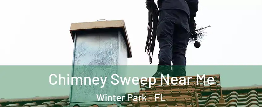  Chimney Sweep Near Me Winter Park - FL
