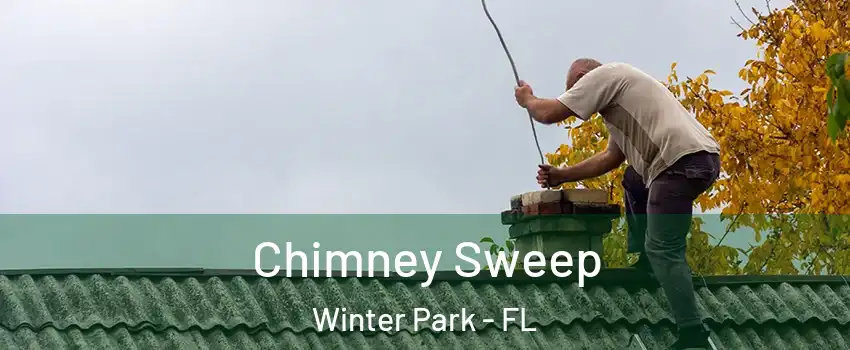  Chimney Sweep Winter Park - FL