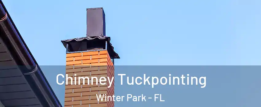  Chimney Tuckpointing Winter Park - FL