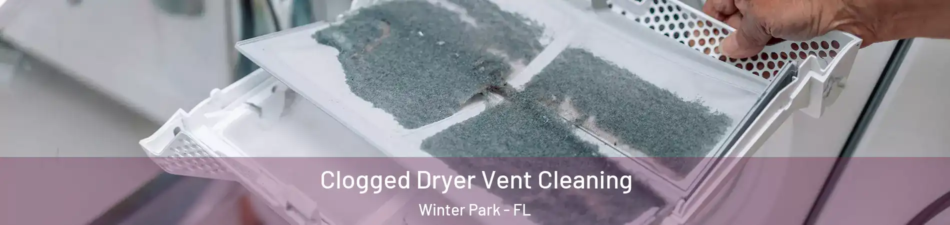  Clogged Dryer Vent Cleaning Winter Park - FL
