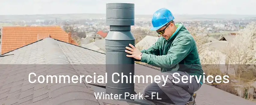  Commercial Chimney Services Winter Park - FL