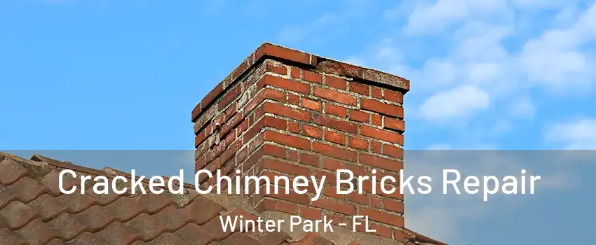  Cracked Chimney Bricks Repair Winter Park - FL
