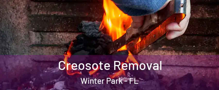  Creosote Removal Winter Park - FL