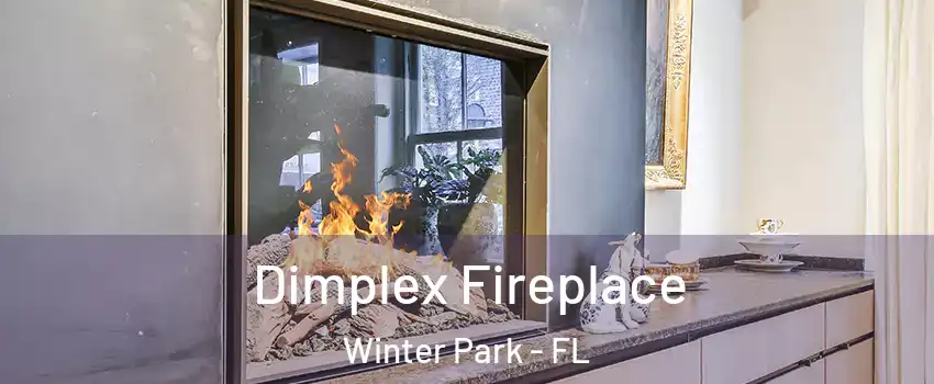  Dimplex Fireplace Winter Park - FL
