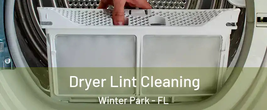  Dryer Lint Cleaning Winter Park - FL