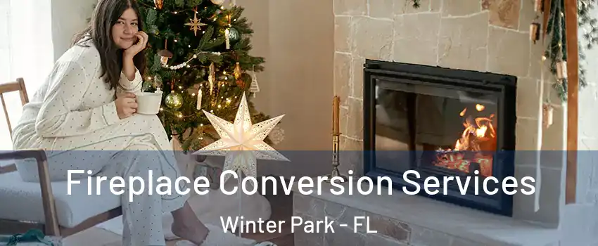  Fireplace Conversion Services Winter Park - FL