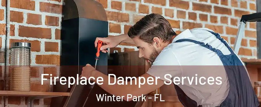  Fireplace Damper Services Winter Park - FL