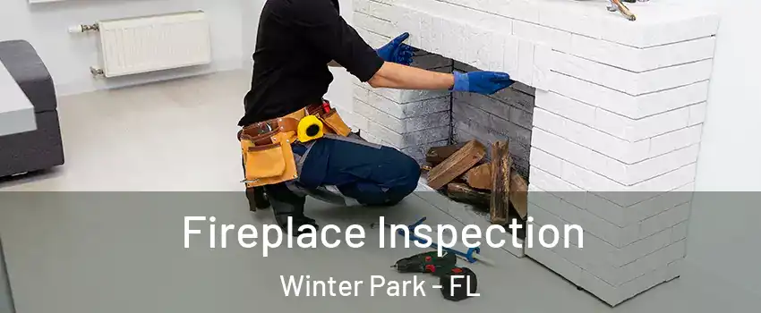  Fireplace Inspection Winter Park - FL