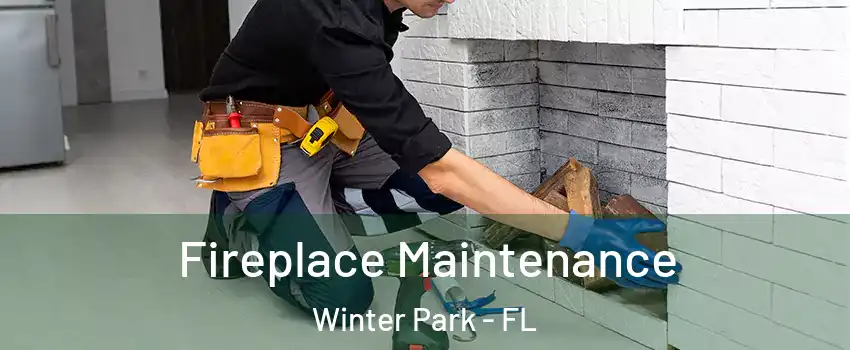 Fireplace Maintenance Winter Park - FL