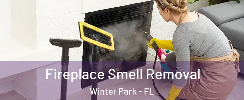  Fireplace Smell Removal Winter Park - FL
