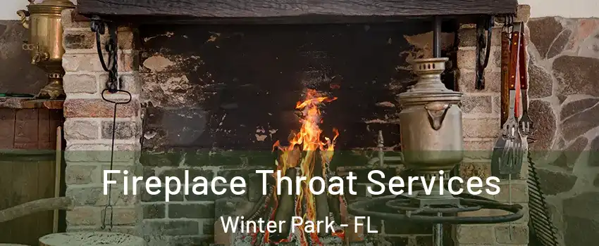  Fireplace Throat Services Winter Park - FL