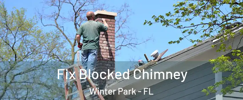  Fix Blocked Chimney Winter Park - FL