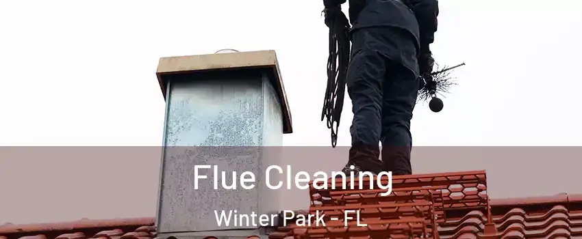  Flue Cleaning Winter Park - FL