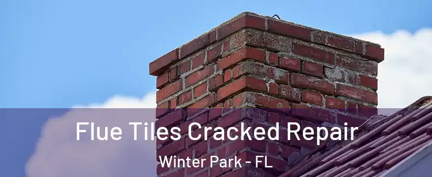 Flue Tiles Cracked Repair Winter Park - FL
