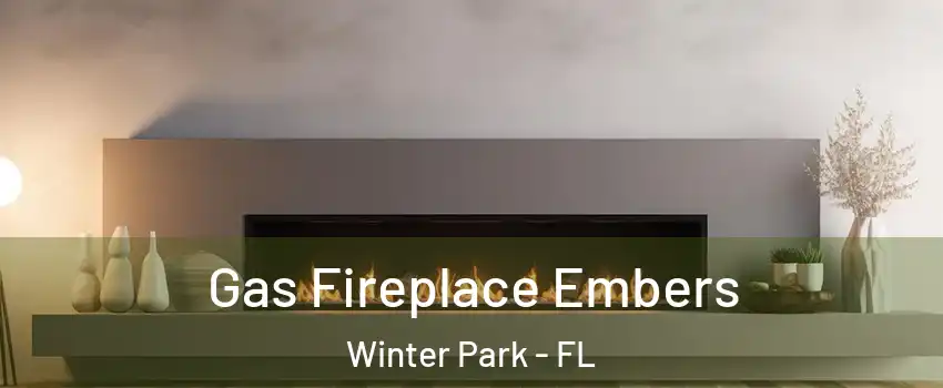  Gas Fireplace Embers Winter Park - FL