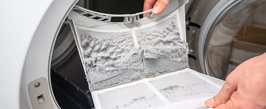 Best Dryer Lint Removal Company in Winter Park, Florida