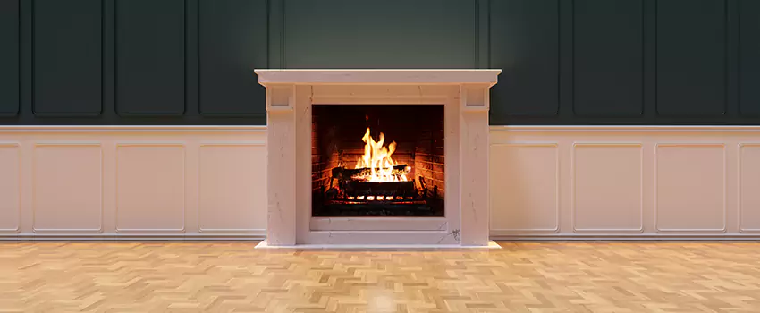 Napoleon Electric Fireplaces Inspection Service in Winter Park, Florida
