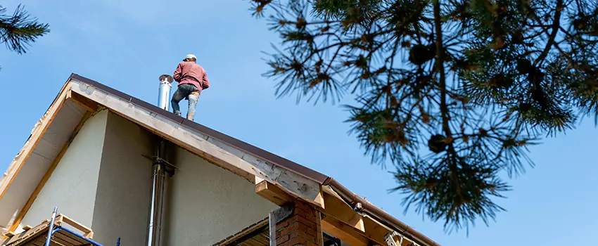 Birds Removal Contractors from Chimney in Winter Park, FL