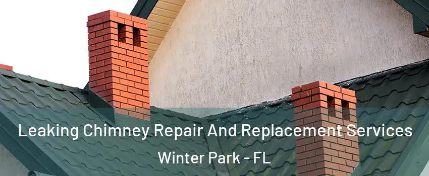  Leaking Chimney Repair And Replacement Services Winter Park - FL