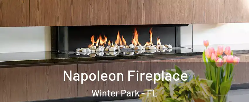  Napoleon Fireplace Winter Park - FL