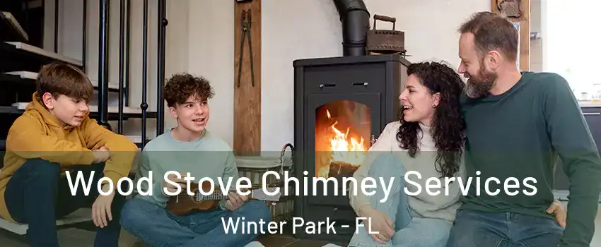  Wood Stove Chimney Services Winter Park - FL